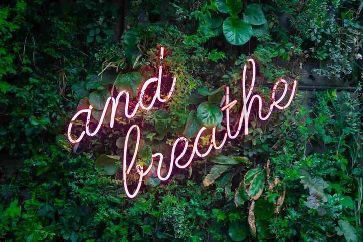 © Photo by Max van den Oetelaar on Unsplash breathe - it's good for business